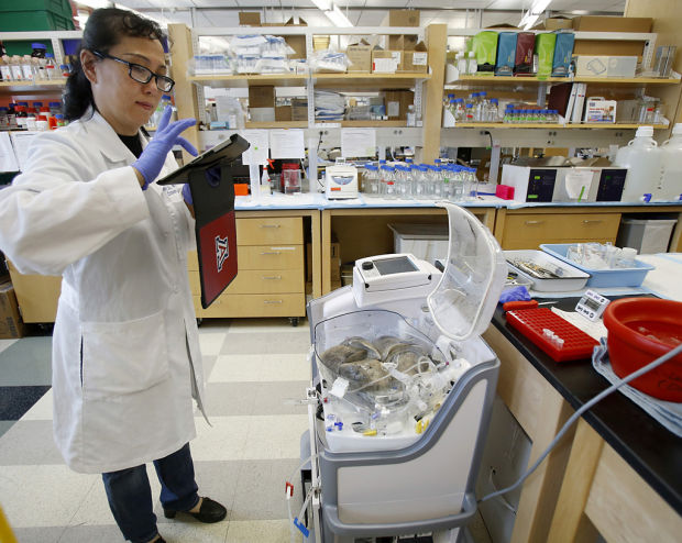 Growing Organs